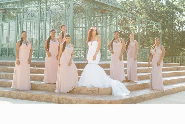 Bride and her Bridal Party