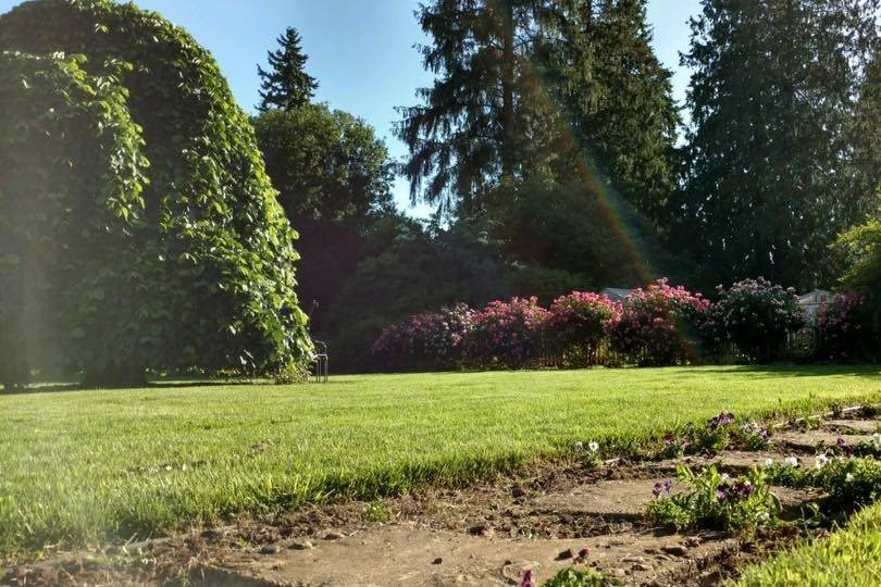 Stepping Stones Garden