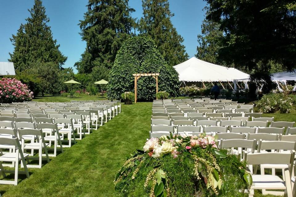 The white aligned chairs