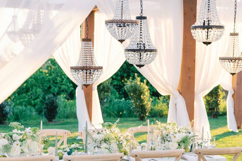 Wedding Reception