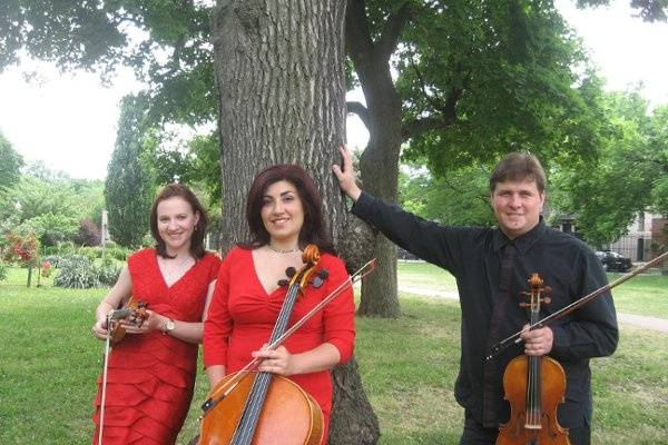 Fantasy Strings