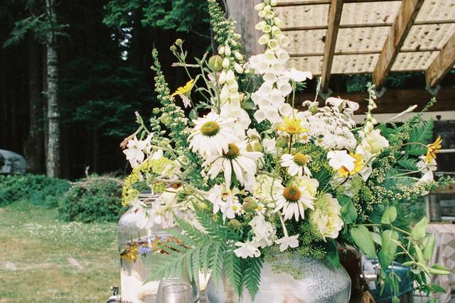 Mendocino Wedding on Film