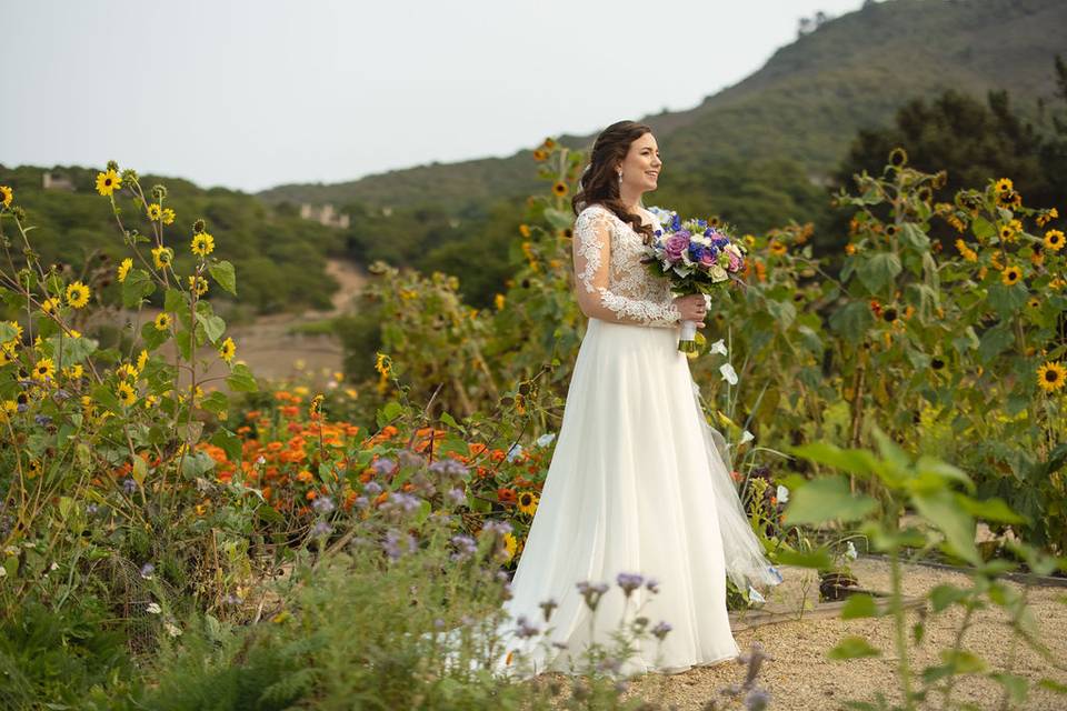 In the wildflowers