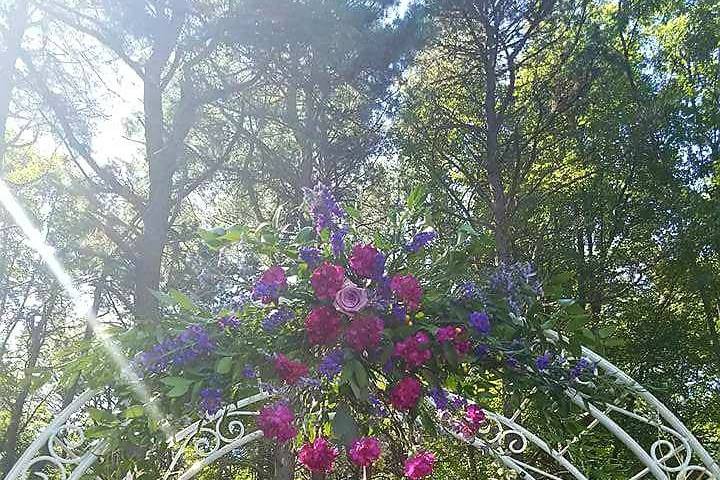 Wedding Arch