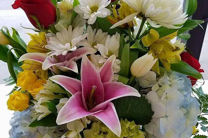 Colorful Vase Display