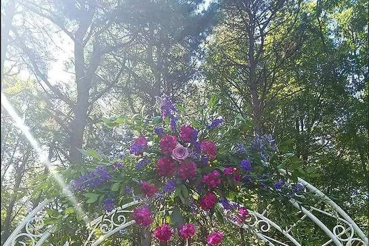 Wedding Arch