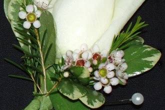 White rose with waxflower bout by Loeffler's Flowers