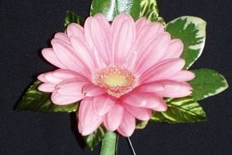 Pink gerbera daisy with pitt greens bout by Loeffler's Flowers