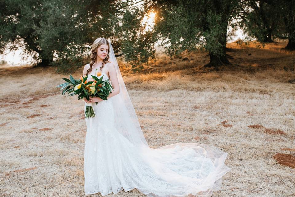 Bridal Hair