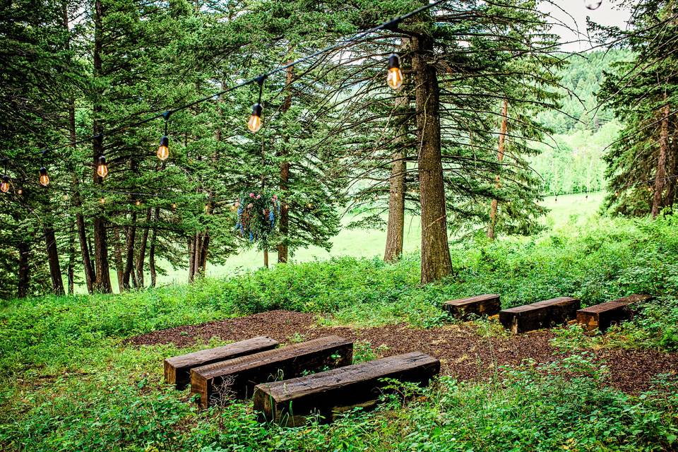 Forest elopement ceremony site