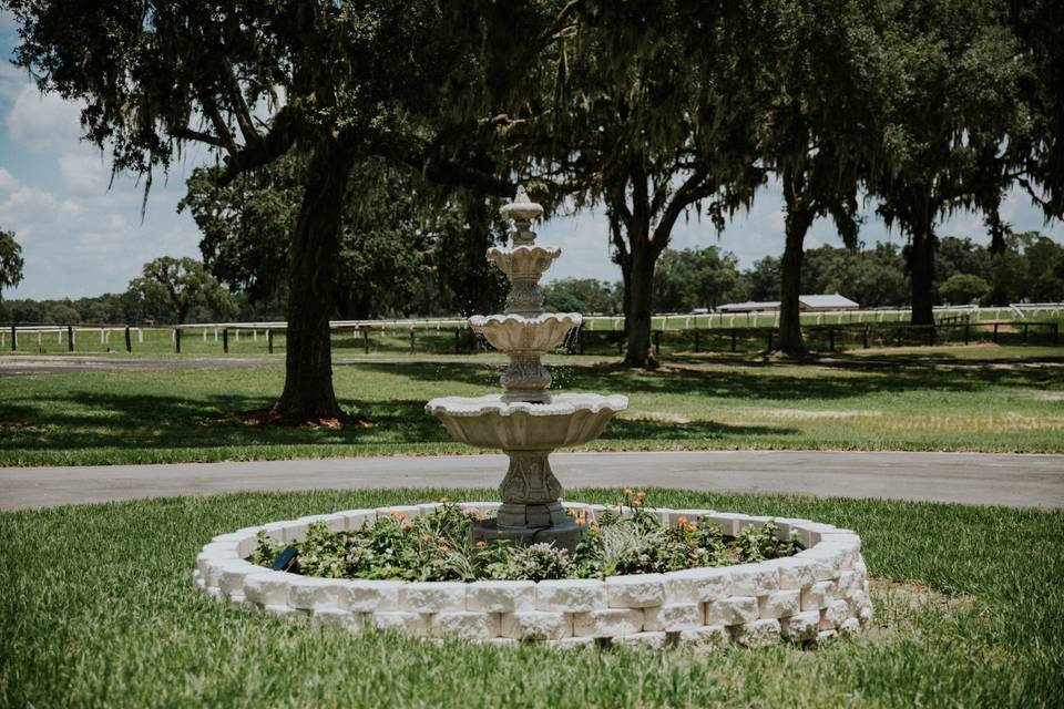 Entry way fountain