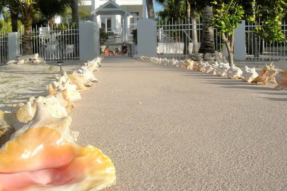 Conch lined walkway to the beach.