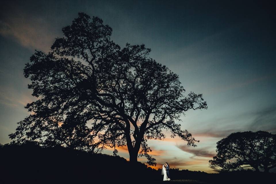 Silhouette