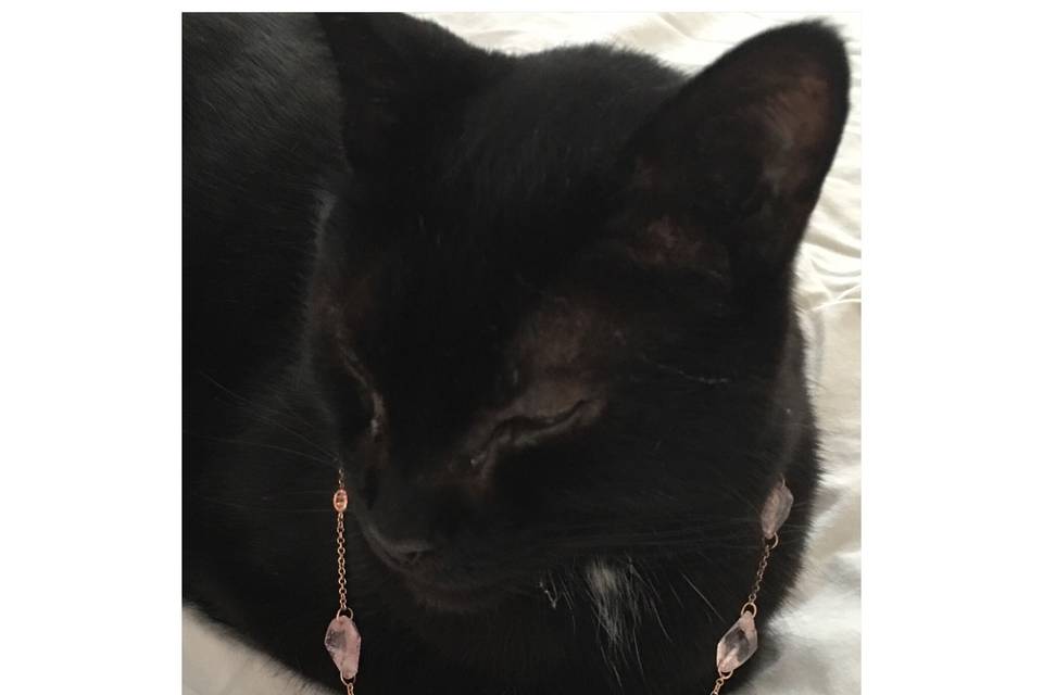 Our beautiful kitty showing off his unique, one-of-a-kind necklace, featuring rose gold, rough cut morganites, and peach sapphires!
See full details here:
https://www.lauriesarahdesigns.com/product/rose-gold-necklace-rough-morganites-peach-sapphires/