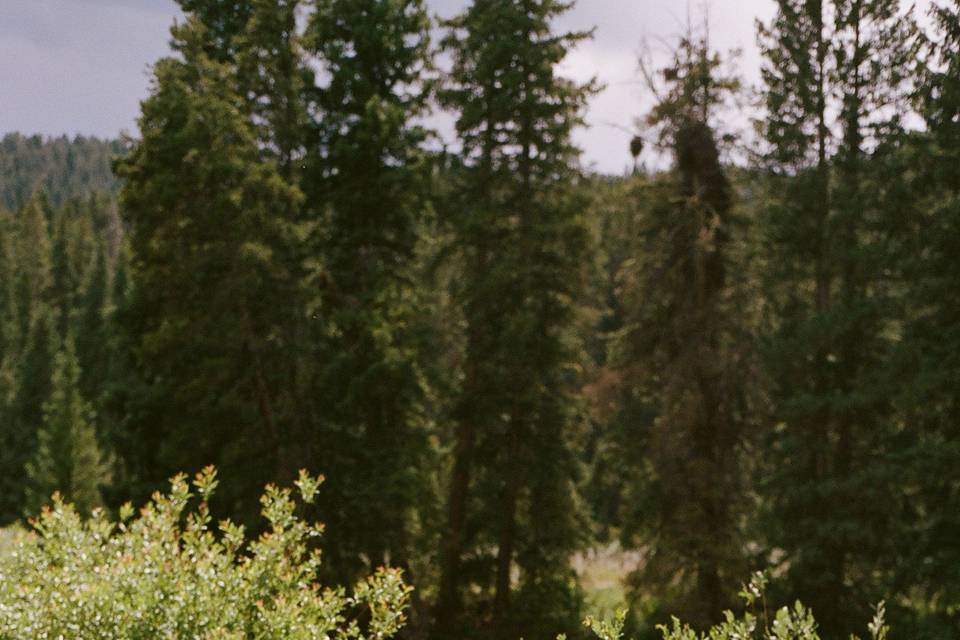 Film Couple's Photo