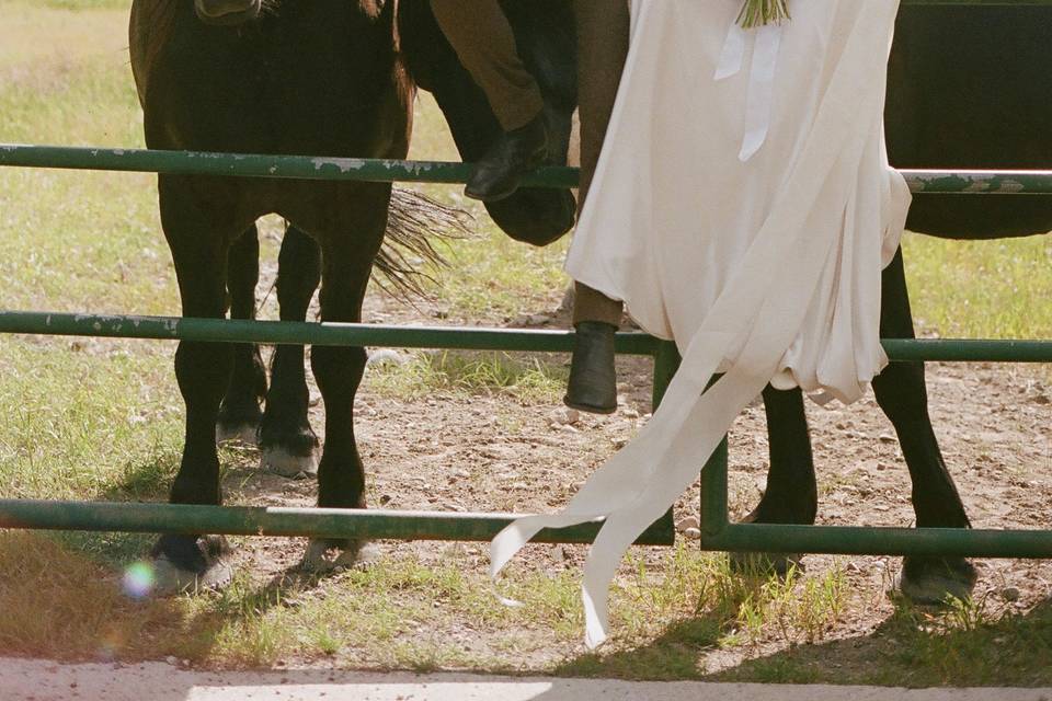 Film Couple's Photo