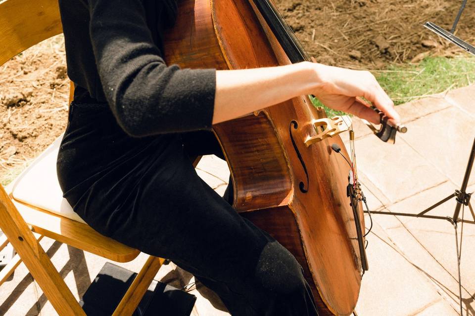 Cellist at The Garden Terrace