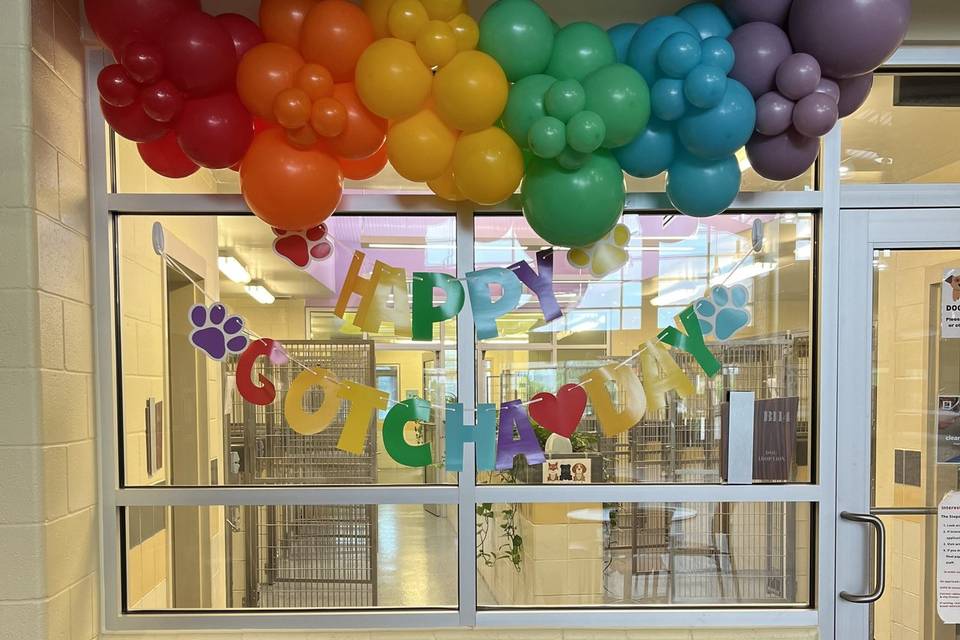 Rainbow Balloon Garland