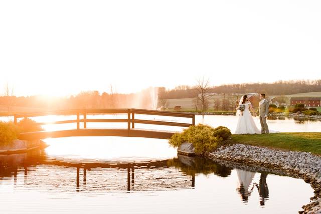 Lauren Fisher Photography