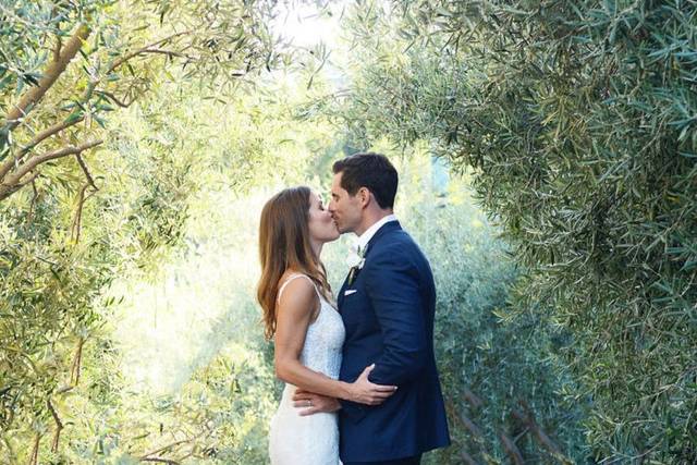 Olive Grove