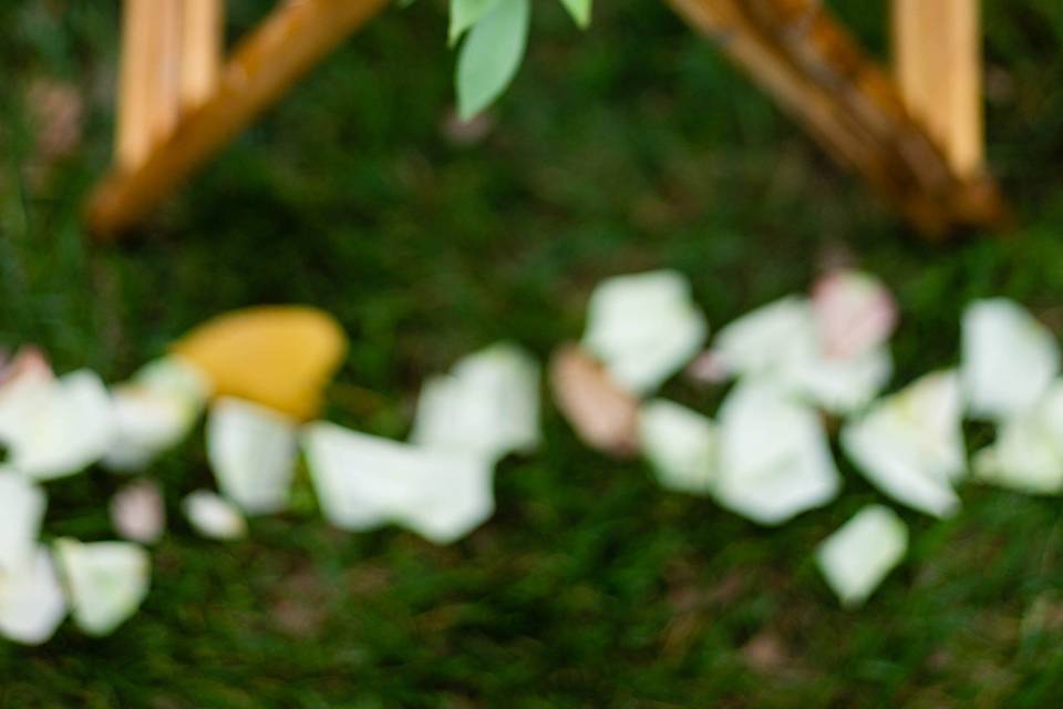 Flowers on chair