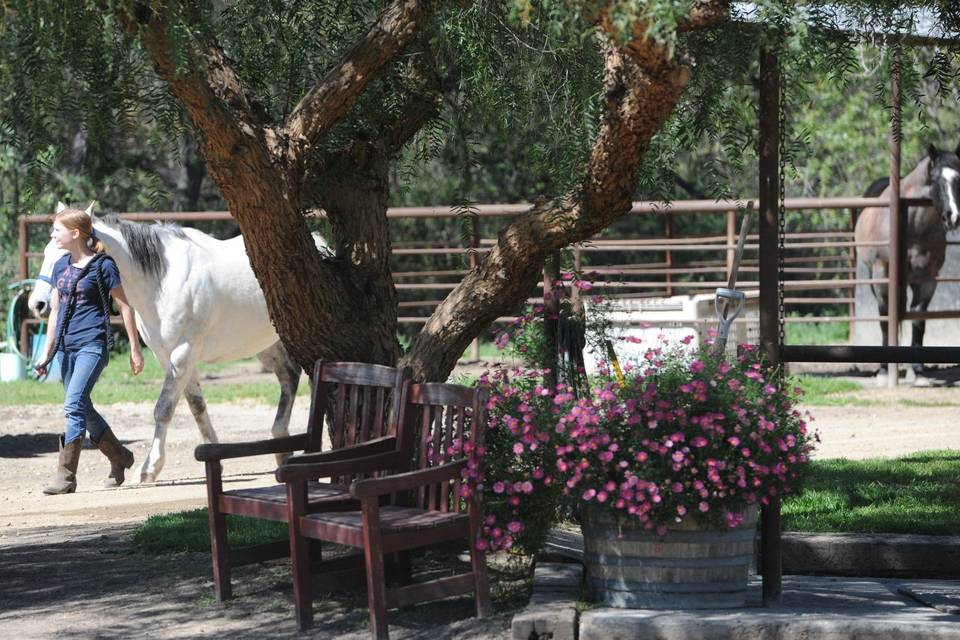 Cañada Larga Ranch