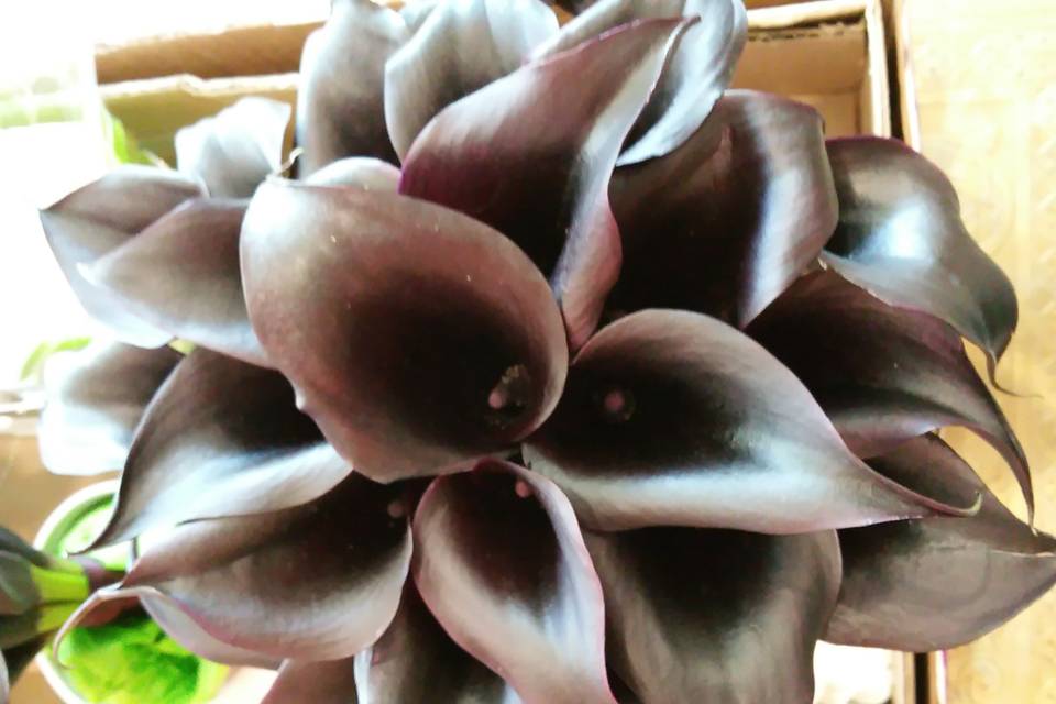 Eggplant Calla Lily Bouquet