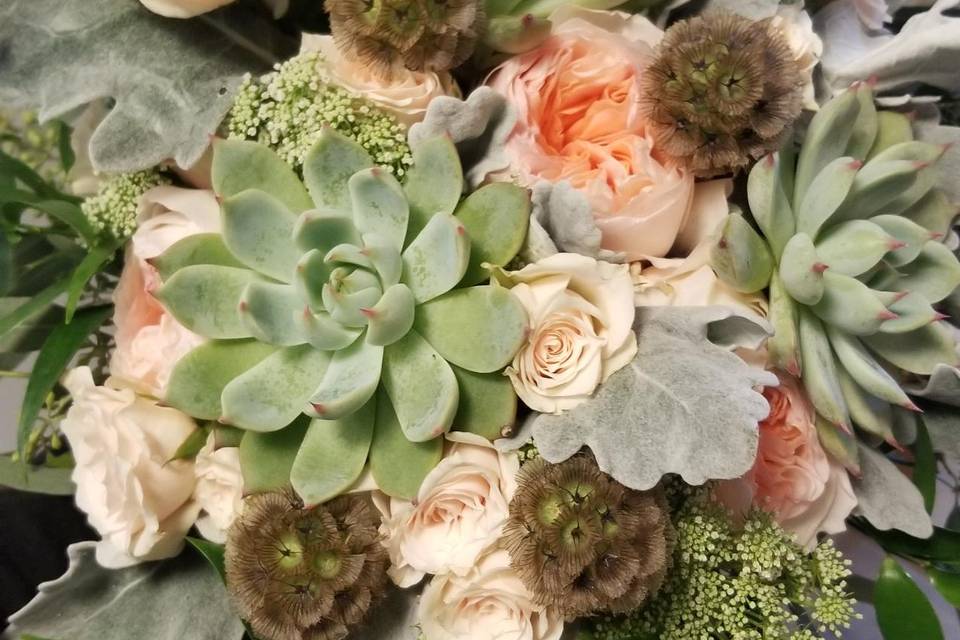 Succulent and Garden Roses