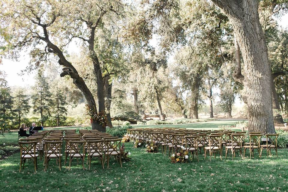 Getting ready under the oaks