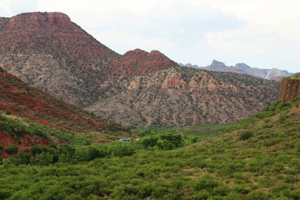 Verde Canyon, springtime