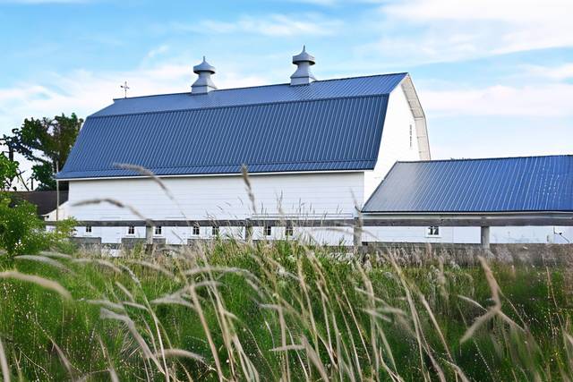 North side of barn in grass