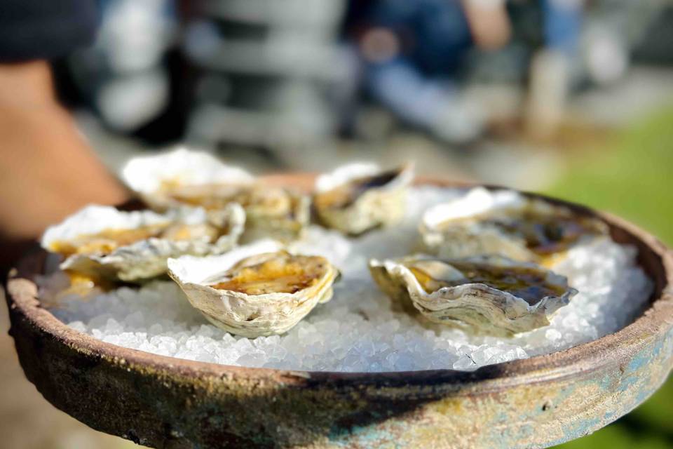 Grilled Oysters