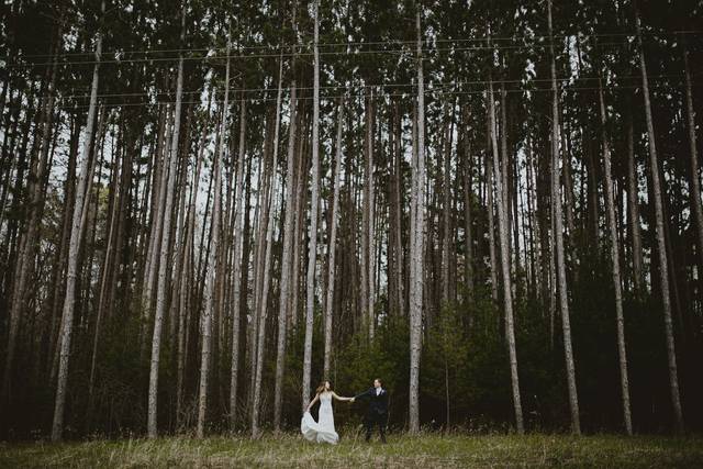North Woods wedding