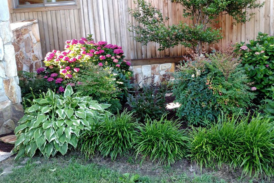 Front flower bed