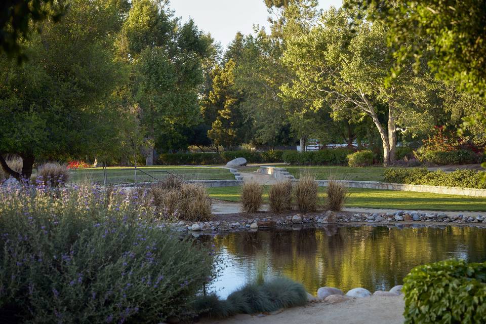 Amphitheater - Outdoor Space
