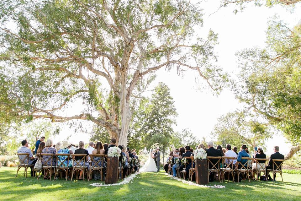 Aisle with the bride and groom