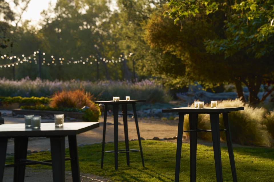 Paddock Patio- Cocktail Hour