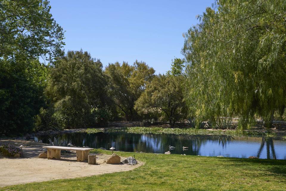 Amphitheater - Outdoor Space