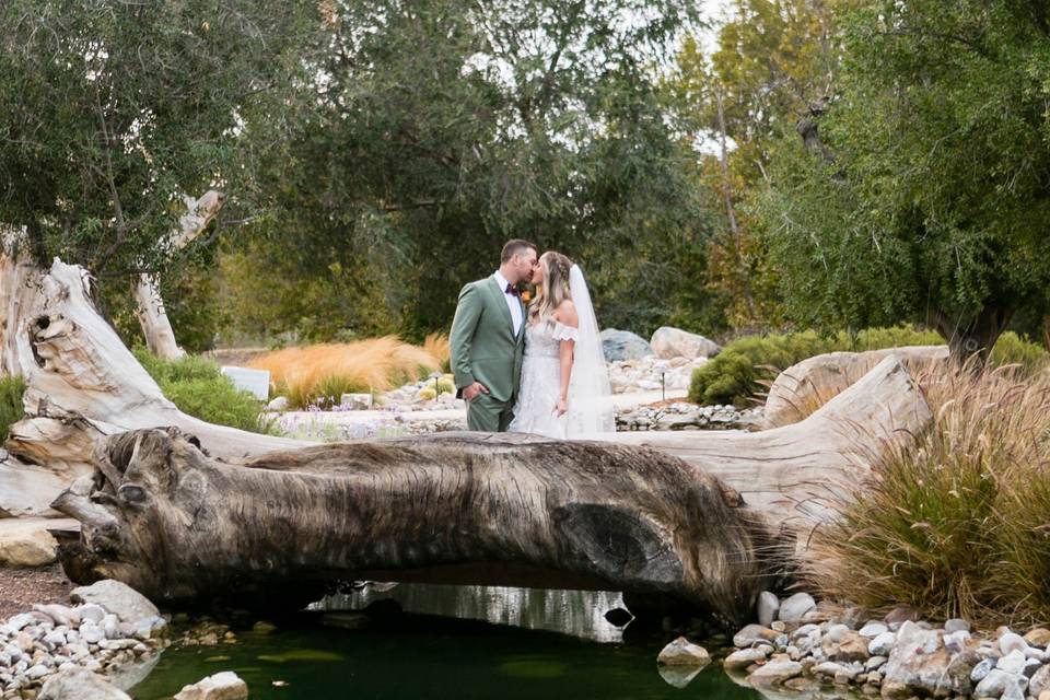 Ceremony setup