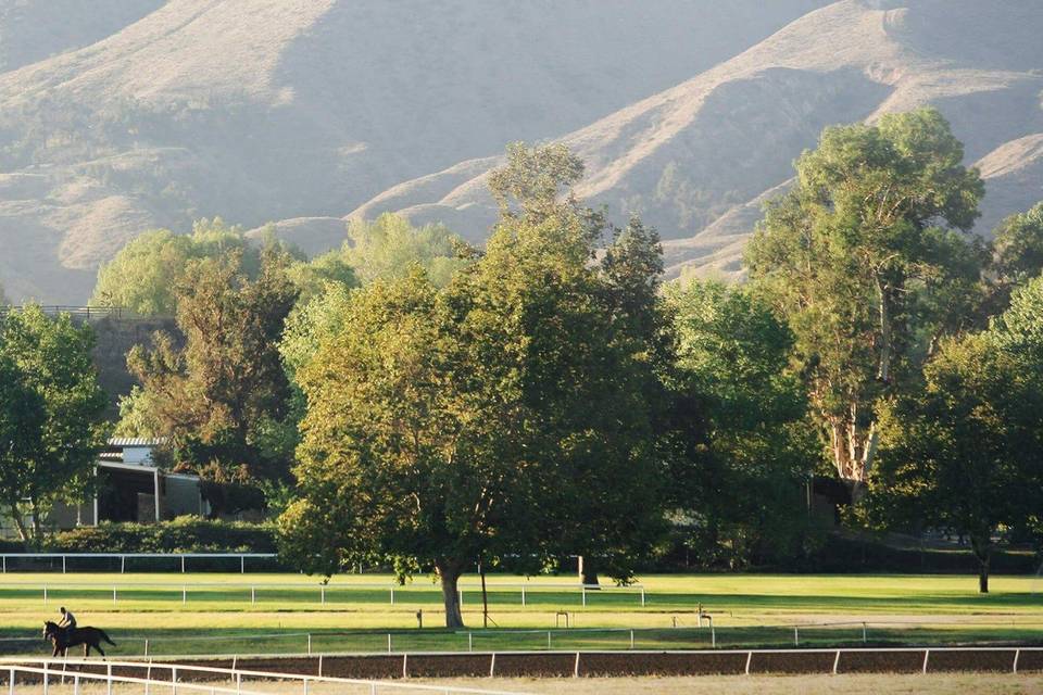 Equestrian views