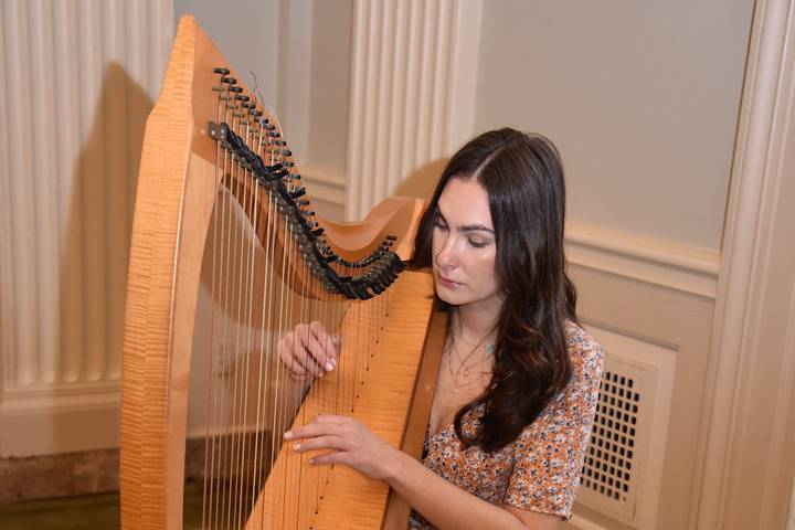 Harp in New York