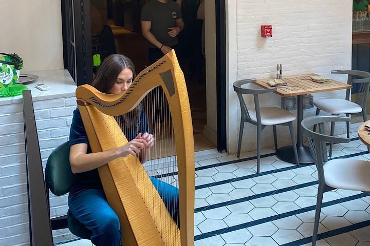 Harp New York
