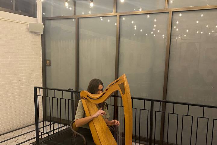 Beautiful Harp Music