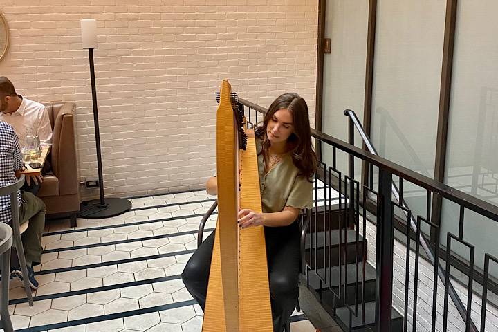 Experienced Harpist