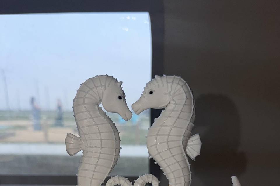 2026 Beach wedding topper