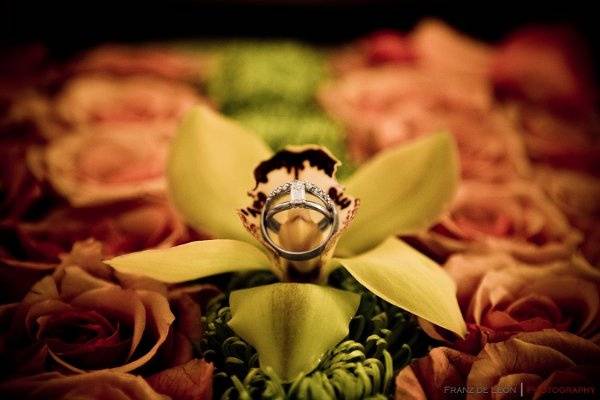 FDL Photography