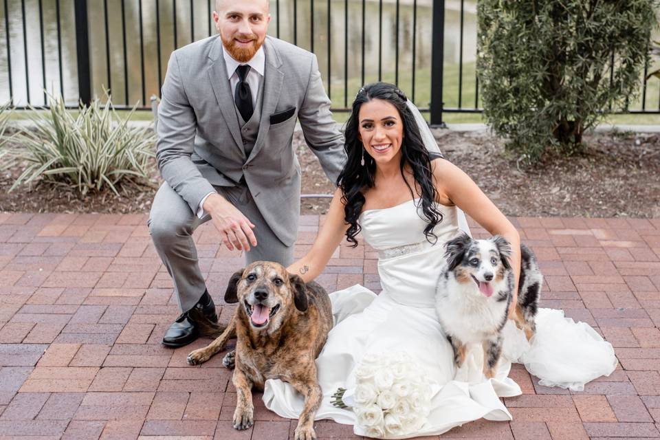 Pets with Bride and Groom