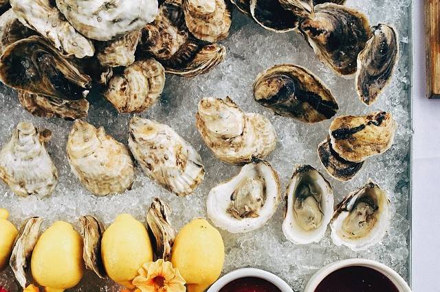 Raw bar oysters