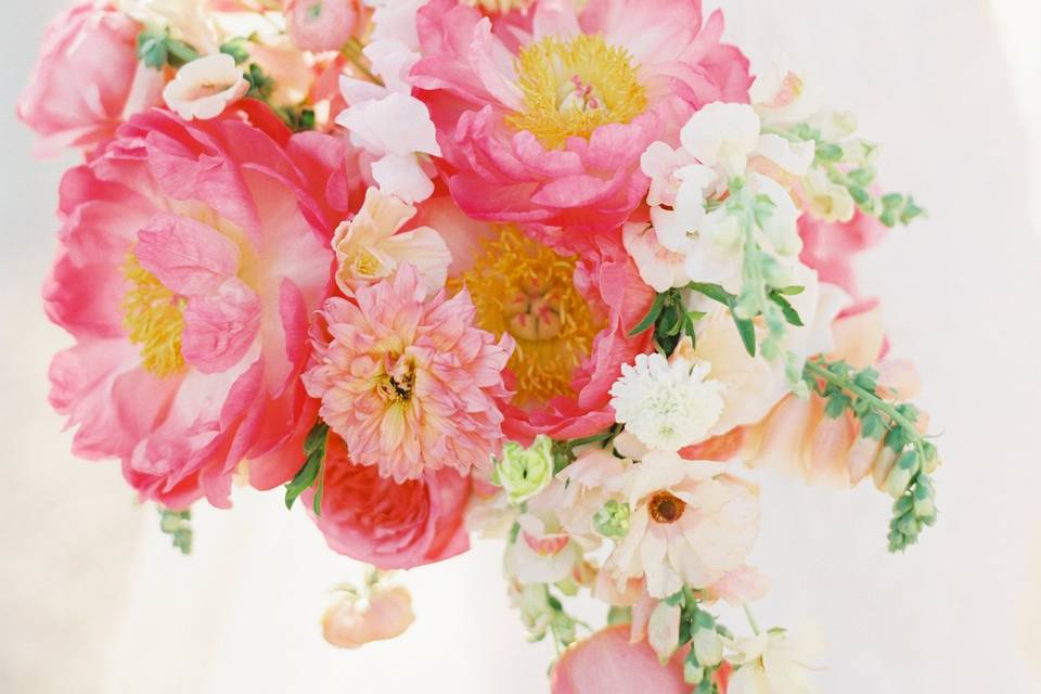 Dover Hall Wedding