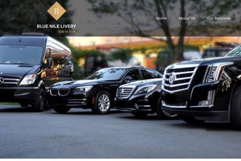 Blue nile fleet picture
